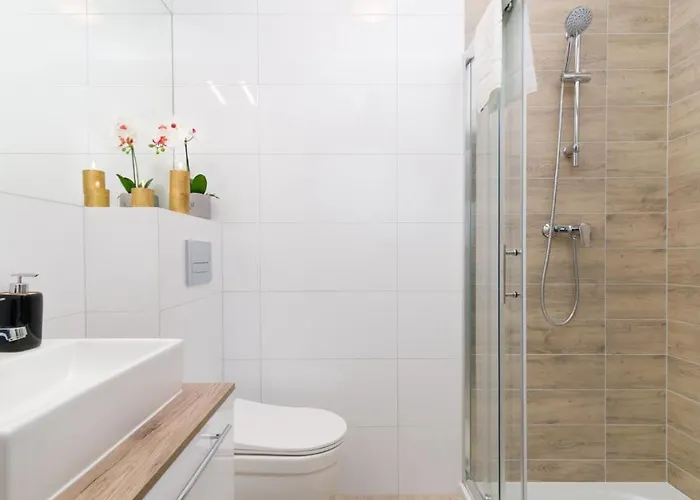 Apartament Lambert *